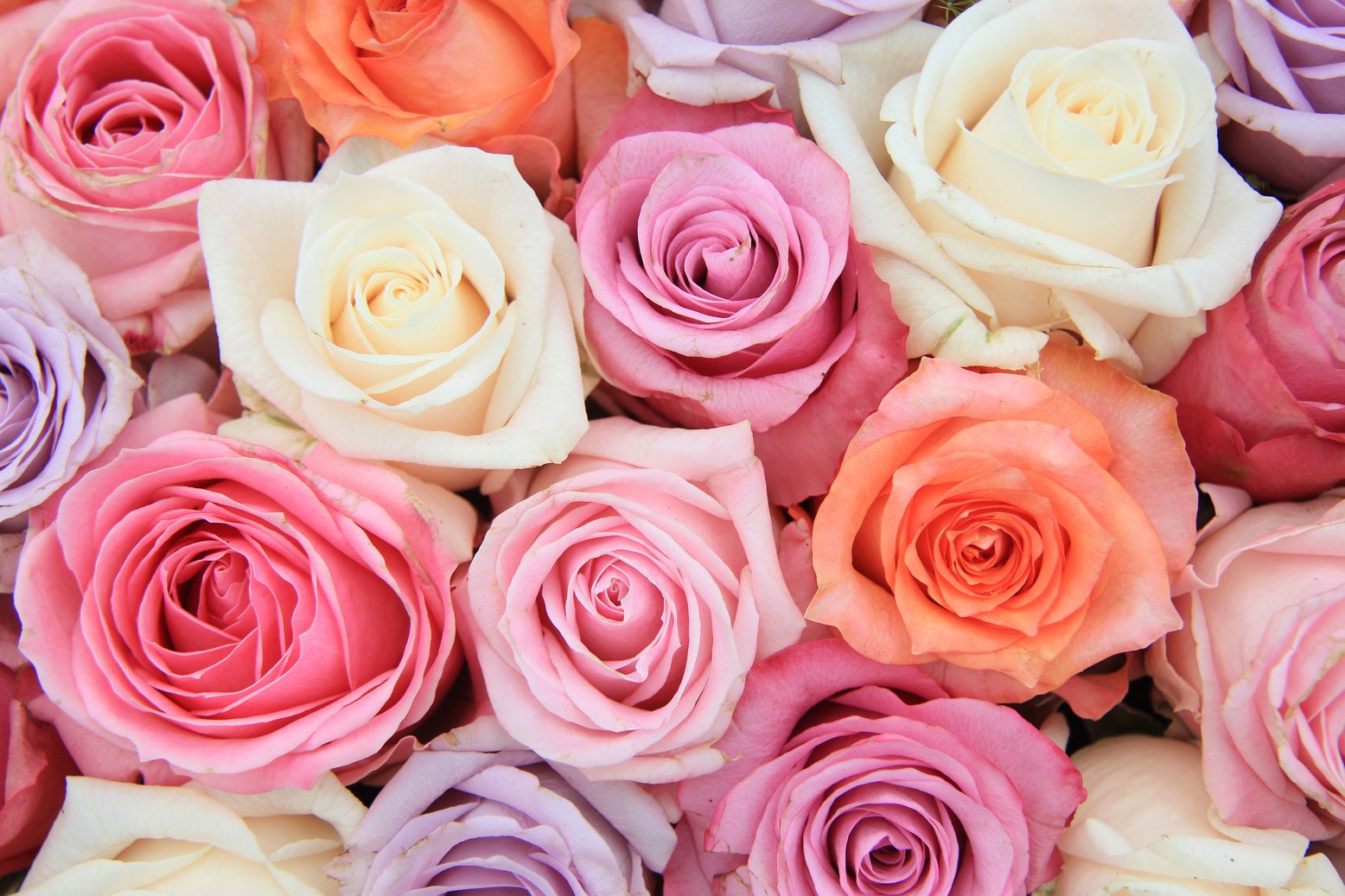 Pastel rose wedding flowers